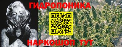 mdpv Бийск