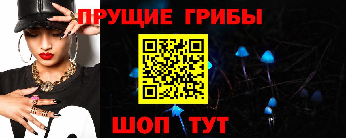 Берёзовский  Галлюциногенные грибы Psilocybine cubensis  Вход с VPN 